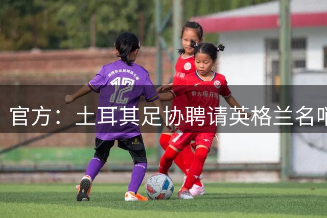 官方：土耳其足协聘请英格兰名哨安东尼·泰勒担任精英裁判总监