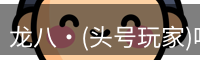 龙八·(头号玩家)唯一官方网站